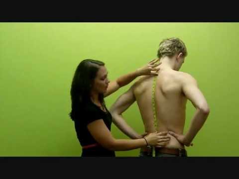 Measuring Torso Length
