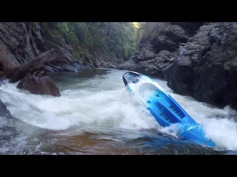Kayaking the Hutt Gorge on a sit-on-top