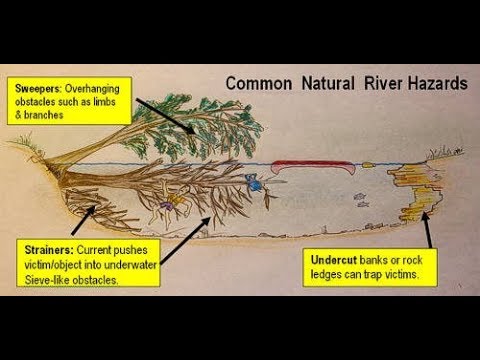 Sweepers and Strainers