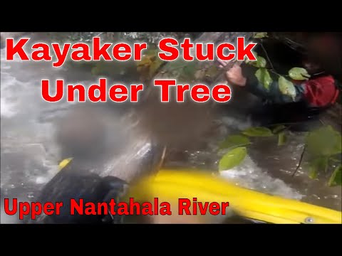 Kayaker stuck In Tree Strainer