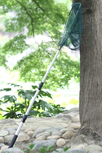 Fishing Landing Net with Telescoping Pole Fishing Net Freshwater Fishing Net for Pond, Handle Full Extended to 50 Inches