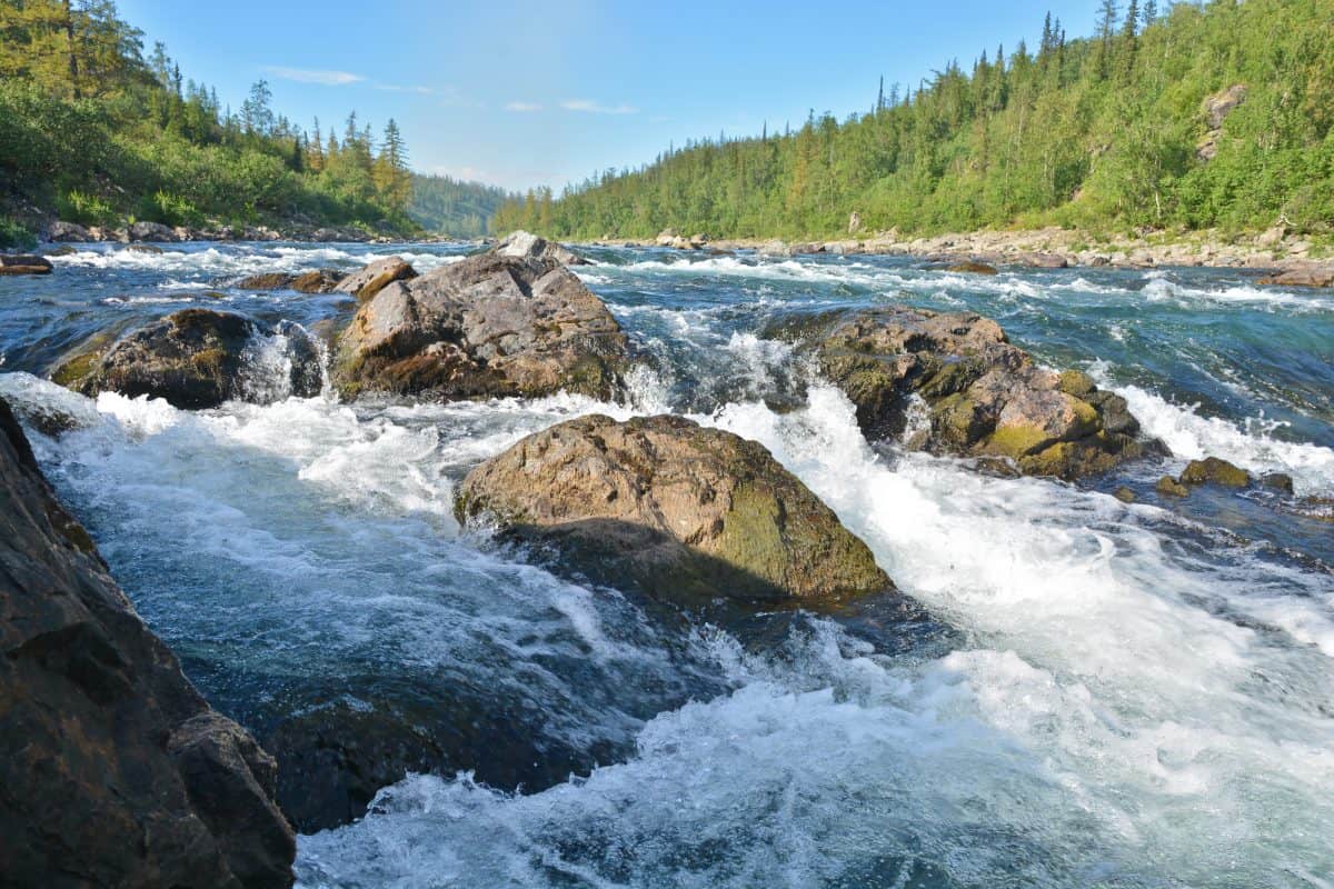 The rapids on a Northern river