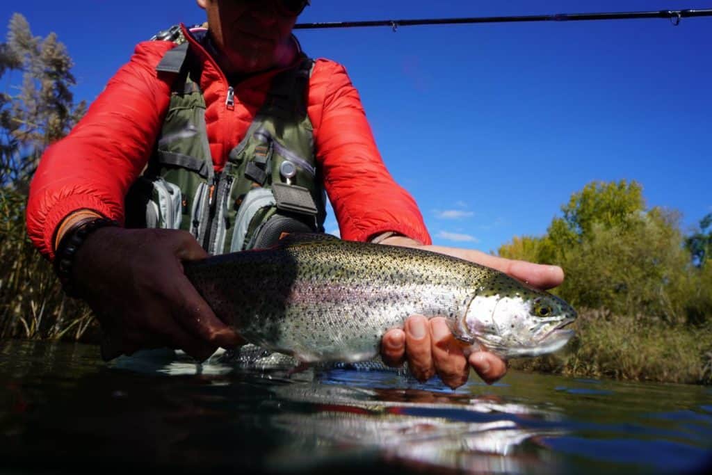 Man holding rainbow trout caught at a fishing river near me