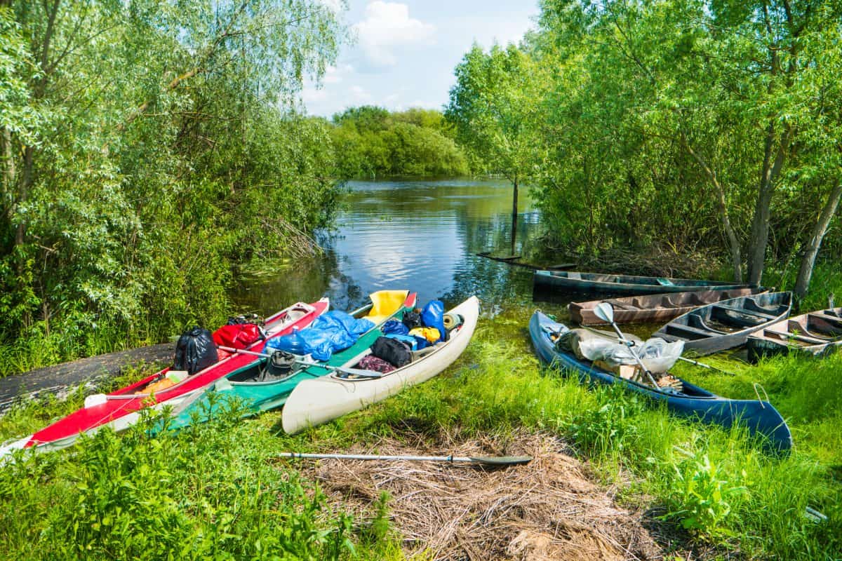 Many loaded kayaks with cargo on river 