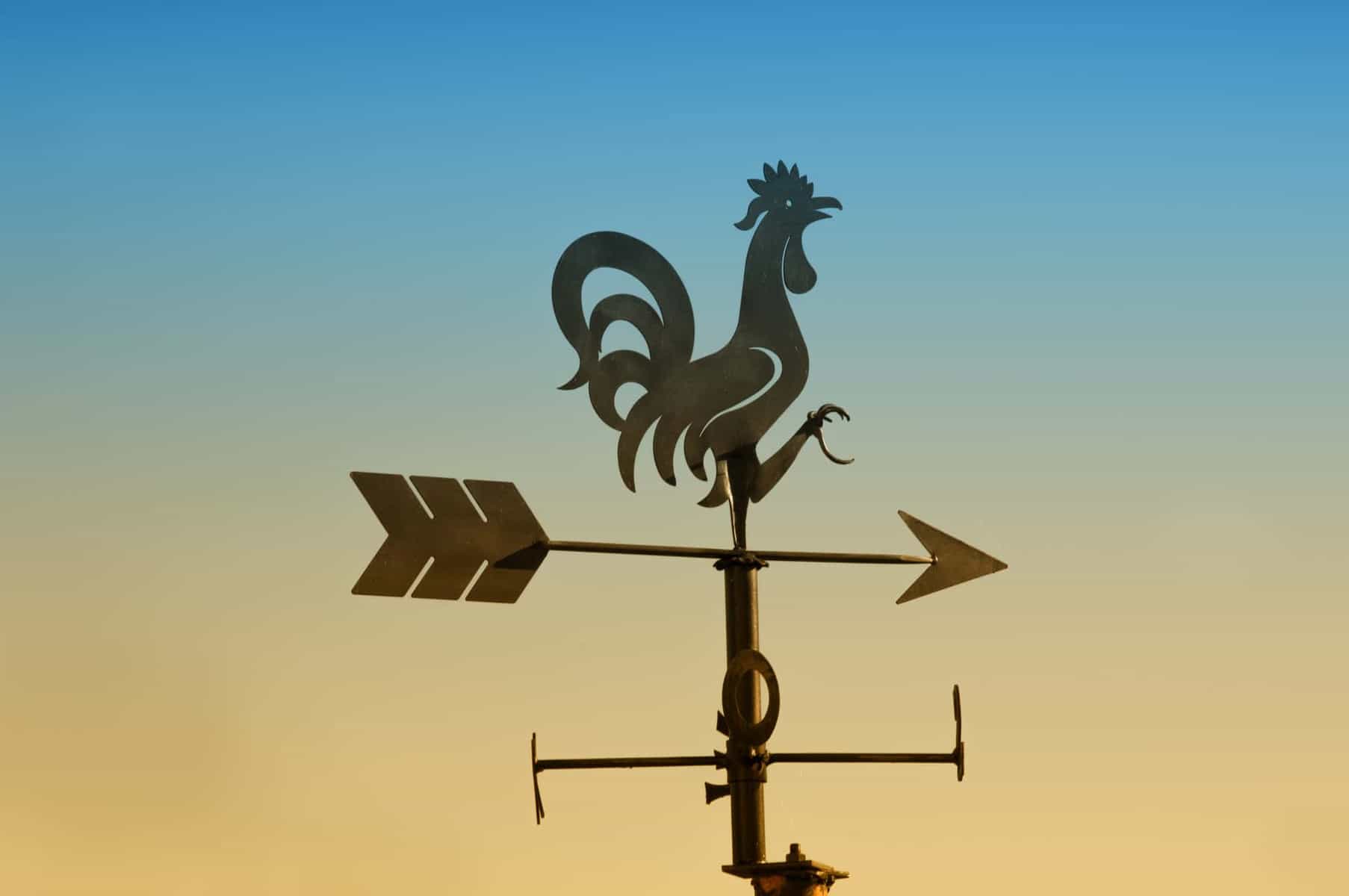 kayak weathercocking - Rooster weathervane
