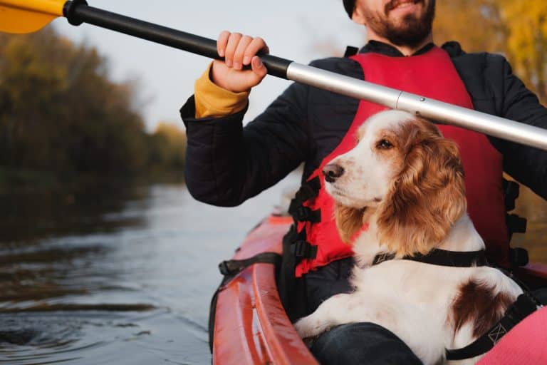 Man paddling kayak with his spaniel dog