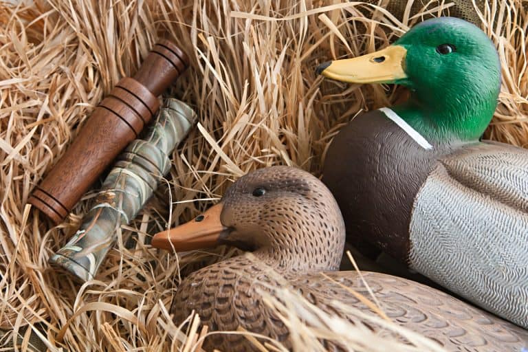 Duck decoy with stuffed and some calls