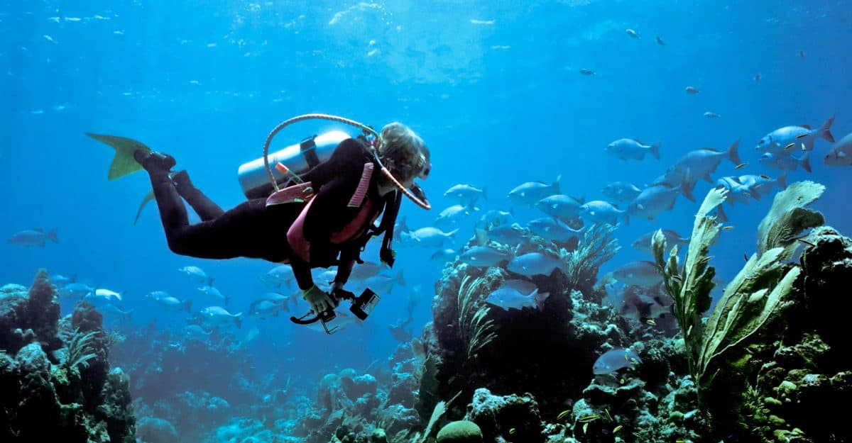 Female scuba diver scuba diving