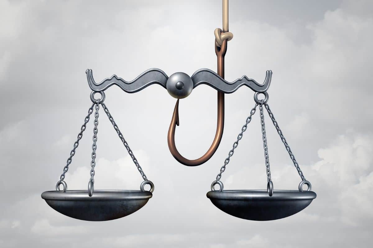 fishing and the law - set of scale and a hook