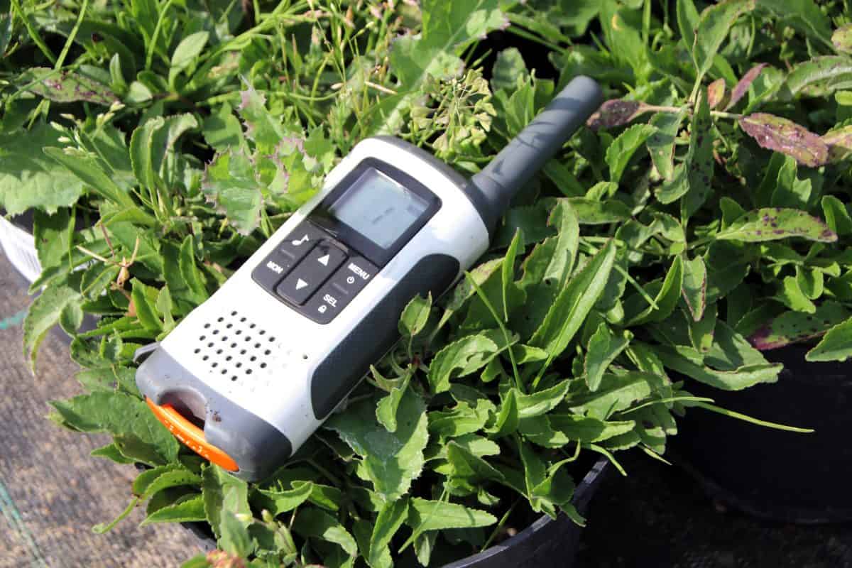 walkie talkie laying on grass