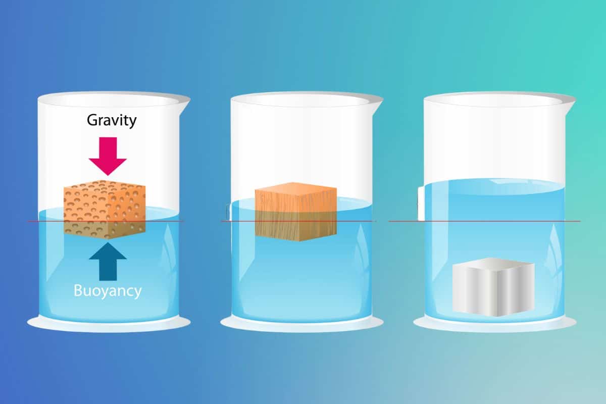 Way To Increase A SUP’s Weight Limit 