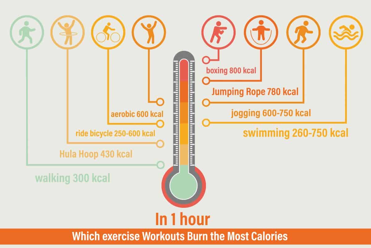 which exercise workouts burns the most calories